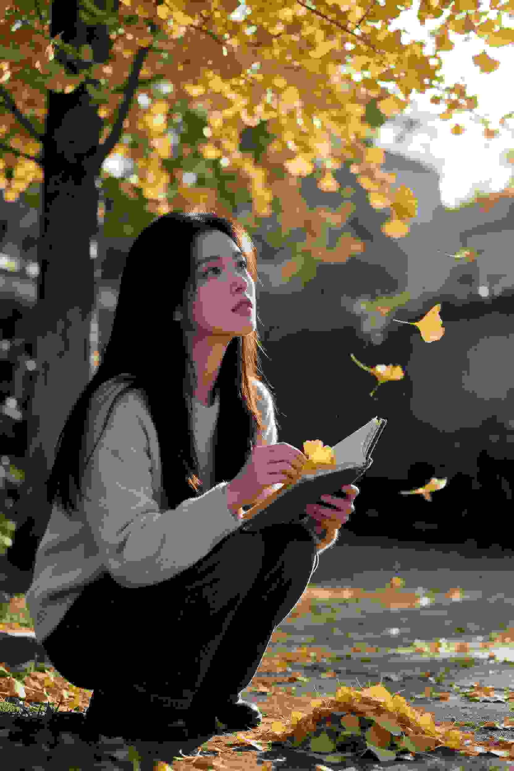 剑与花